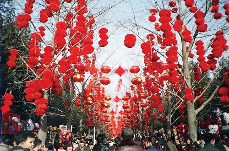 Red-lanterns-trees-Lunar-New-Year-Beijing
